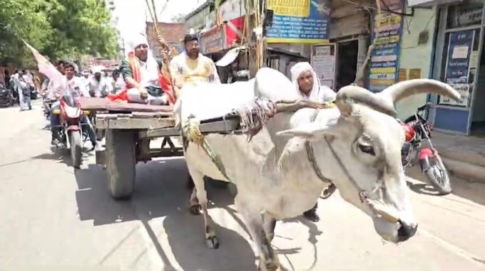 जौनपुर में गजब चुनावी प्रचार बैल गाड़ी पर सवार होकर नामांकन करने पहुंचे अशोक सिंह