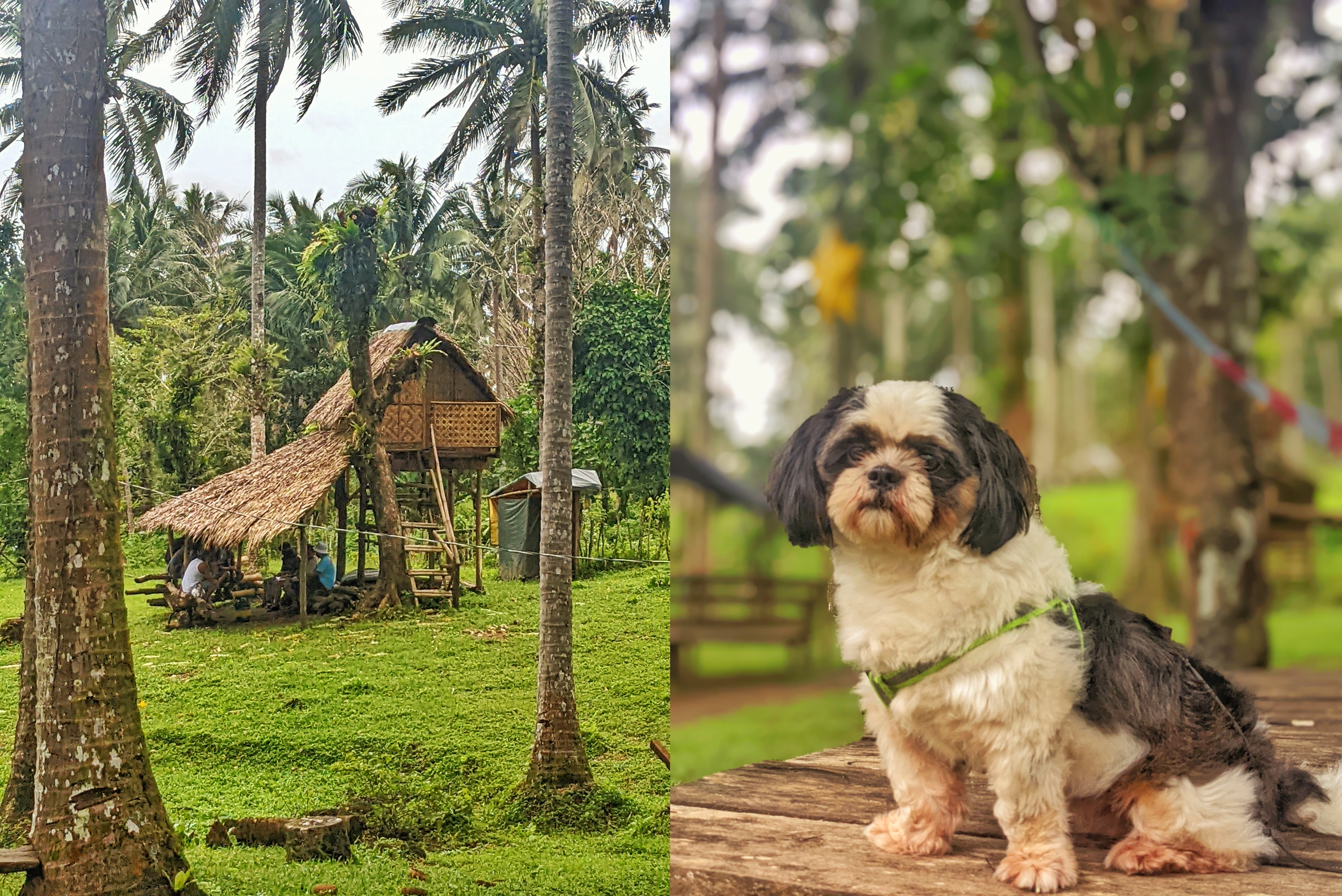 where to stay in casiguran sorsogon