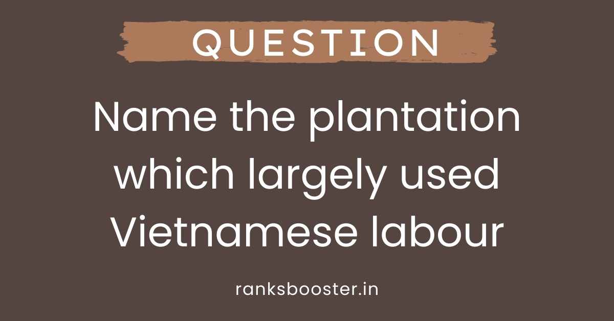 Name the plantation which largely used Vietnamese labour