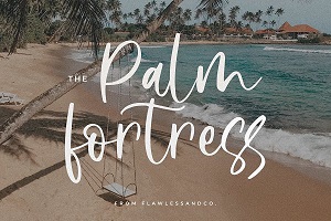 Palm Fortress by Flawless And Co.