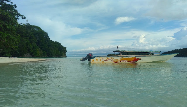 Speedboat rent in National Park of Cendrawasih Bay
