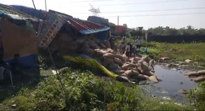 বাংলাদেশ যাওয়ার পথে ট্রাক উল্টে নষ্ট প্রচুর ভুট্টা