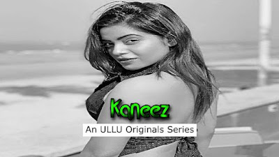 Kaneez Hindi Web Series Download