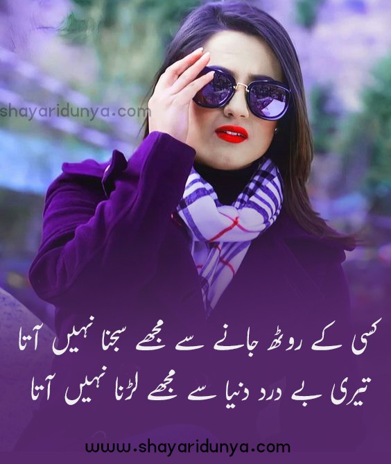 Top Attitude Poetry In Urdu | Attitude poetry in urdu 2 lines | Attitude girl Shayari | funny Attitude poetry in urdu