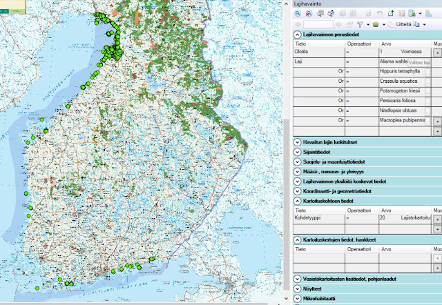 Suomen kartta, jossa pisteinä uhanalaiset lajit, painotus Perämerellä