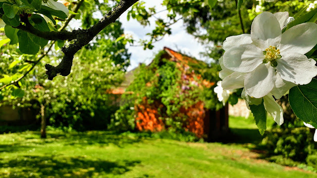 Gartenhausfabrik-Bild