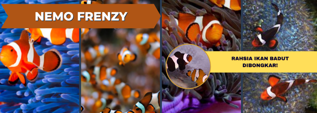 Nemo Frenzy