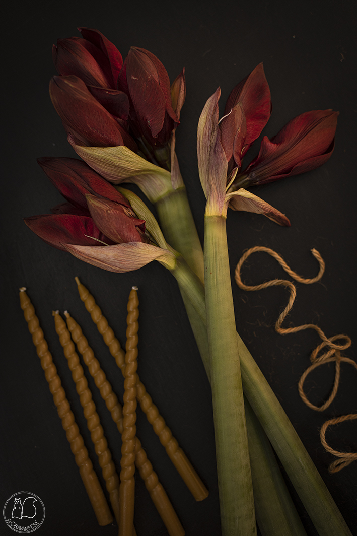 ritarinkukka amaryllis kierrekynttilä flatlay