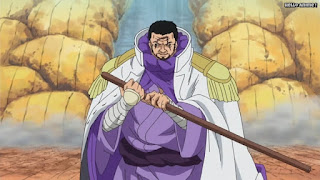 ワンピースアニメ ドレスローザ編 743話 海軍大将 藤虎 イッショウ Fujitora | ONE PIECE Episode 743