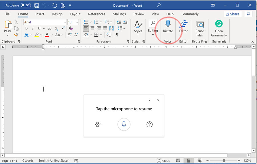 Microsoft Word Dictate