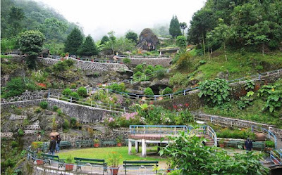 Which are the best places to visit in Darjeeling Why is Darjeeling famous for tourism, darjiling, why is darjiling so famous, daily905