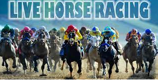 can you go horse racing, can you watch horse racing on kayo, can owners go horse racing, can you bet on horse racing in north Carolina, can you bet horse racing on fanduel, can ncaa athletes bet on horse racing, can you make money from horse racing, can i bet on horse racing online, should australia ban horse racing, should whips be banned in horse racing, should we ban horse racing, should we stop horse racing, should there be a ban on horse racing, should horse racing be banned, should horse racing be banned pros and cons, should horse racing be banned essay, should horse racing be banned debate, should horse racing be banned in the uk, how to read horse racing form, how to read a horse racing program, how to watch horse racing, how to handicap horse racing, how to watch horse racing replays, how to watch horse racing online, how much are horse racing tickets, who is the best horse racing tipster, who is horse racing today, who to bet on horse racing, who win horse racing, who is the best horse tipster, who is best racing tipster, best horse racing tipster 2020, will rogers horse racing, will biddick horse racing, will rogers downs horse racing schedule, will pays horse racing, will hill horse racing, will there be horse racing this weekend, will hill horse racing results, will smith horse racing, will there be horse racing on boxing day, will rogers downs live horse racing, did you know facts about horse racing, when did horse racing start, where did horse racing originate, when did horse racing start in the uk, when did horse racing start in America, when did horse racing start in Australia, when did horse racing start after lockdown, how much did i win horse racing calculator, when did horse racing resume, when did sunday horse racing start, top 10 horse racing sites usa, top speed ratings horse racing, top trainers horse racing, top weight horse racing system, top quarter horse racing sires, top 10 horse racing tracks, top of the stretch horse racing game, top weight horse racing, top tip horse racing today, top sires horse racing, do they whip horses in horse racing, do horses like horse racing, do horses enjoy horse racing, do you get horse racing on kayo, do they have horse racing in florida, do they have horse racing in Russia, do they have horse racing in spain, do they have horse racing in Italy, do horses die in horse racing, do they have horse racing in Germany, best free horse racing tips, best sa horse racing tips, best uk horse racing syndicates, best bet in horse racing today, best way to bet on horse racing, best tipsters horse racing, best binoculars for horse racing, best odds horse racing, best bookies for horse racing, best bet of the day horse racing, worst post positions horse racing, worst odds in horse racing, worst horse racing deaths, worst horse racing names, worst horse racing accident, worst horse racing falls, worst horse racing trainers, worst horse racing tipster, worst horse racing, horse racing odds best to worst, does kayo have horse racing, does draftkings have horse racing, does fanduel have horse racing, does spectrum have a horse racing channel, does betbull do horse racing, does 4th place pay in horse racing, does betway have horse racing, does weight matter in horse racing, does betmgm have horse racing, does william hill have horse racing, just horse racing big bets; just horse racing app, just horse racing news, just horse racing results.