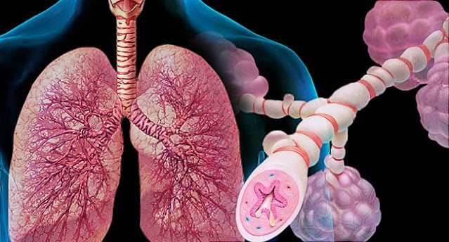 WHAT IS ASTHMA? MAIN CAUSES, SYMPTOMS, HOW DOES ASTHMA EFFECT BODY? ASTHMA CAN BE CURED, DIAGNOSIS, TREATMET