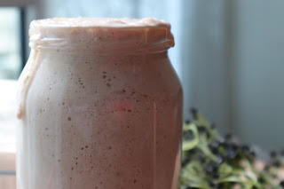 Sourdough Starter (with no discard)