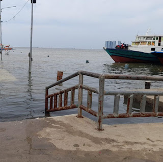 Rob Genangi Kawasan Pelabuhan Muara Angke, Muara Baru dan Sunda Kelapa