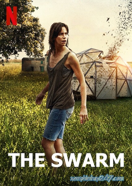 http://xemphimhay247.com - Xem phim hay 247 - Bầy Đàn Khát Máu (2020) - The Swarm (2020)