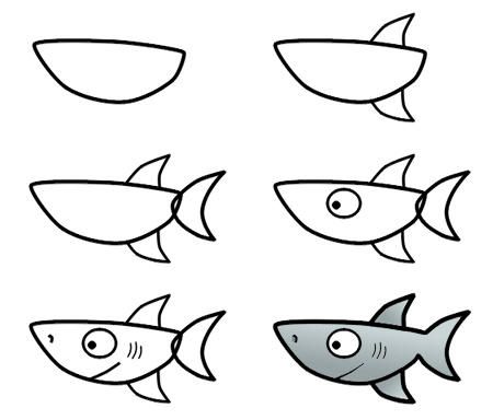 Hướng dẫn vẽ con cá mập theo từng bước đơn giản