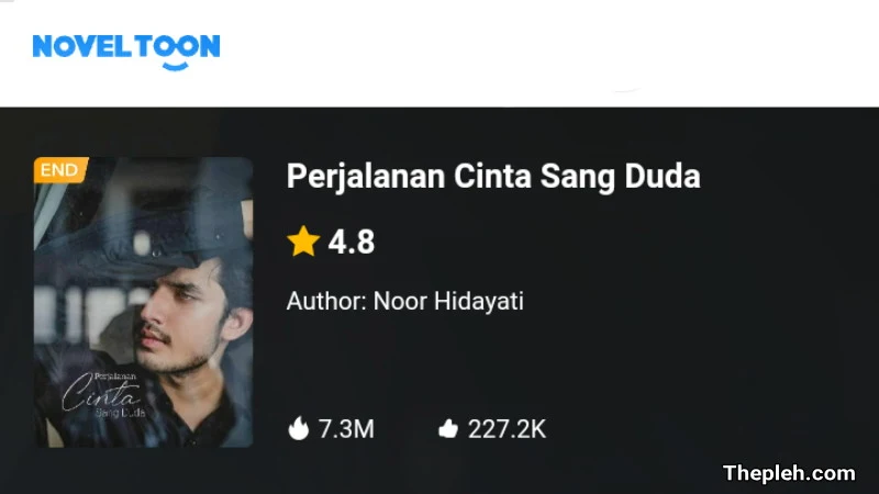 Novel Perjalanan Cinta Sang Duda