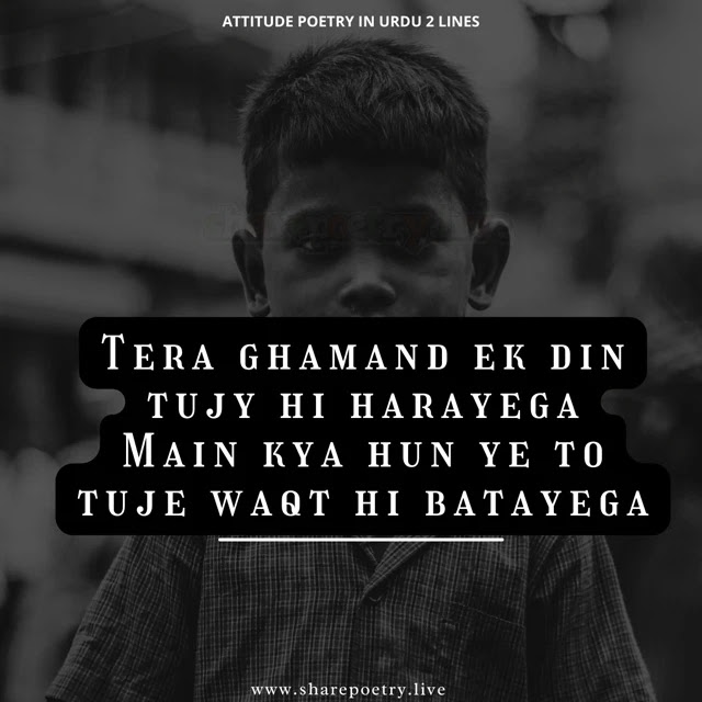 Attitude Poetry In Urdu 2 Lines images