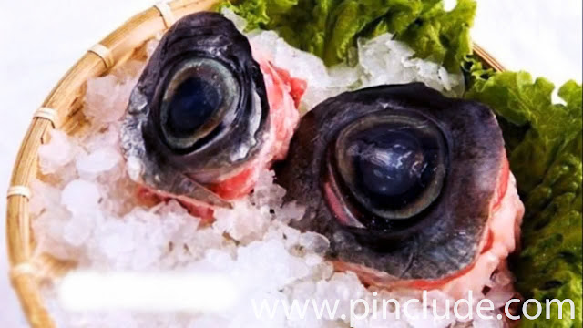 tuna eyeball
