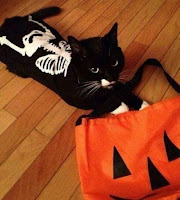 Disfraces de Halloween para gatos