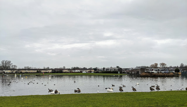 Killingworth Lakeside Park - Pushchair Friendly Circular Walk with Park