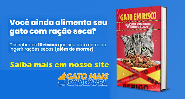 riscos com alimentação seca gato mais saudável