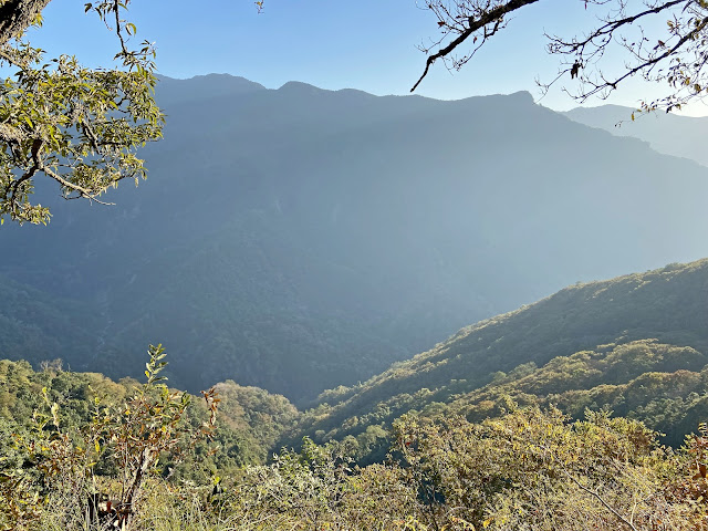 虎山下山