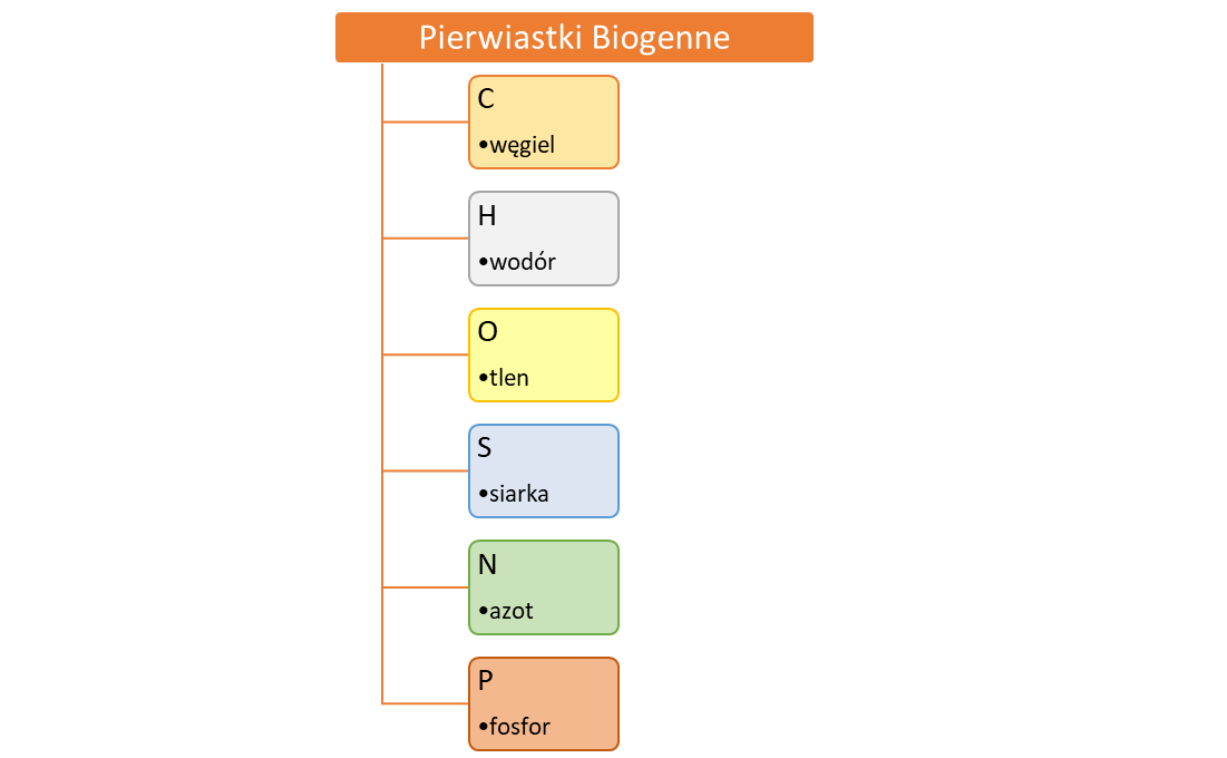 C - węgiel  H - wodór  O - tlen  S - siarka  N - azot  P - fosfor