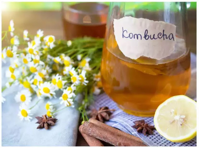 Trà Kombucha là gì? cách làm trà Kombucha tại nhà