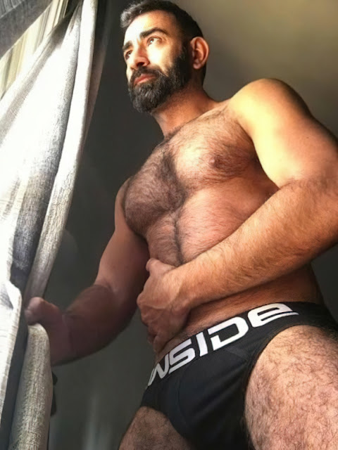 Magnificent Alpha Hairy Chested Hunks