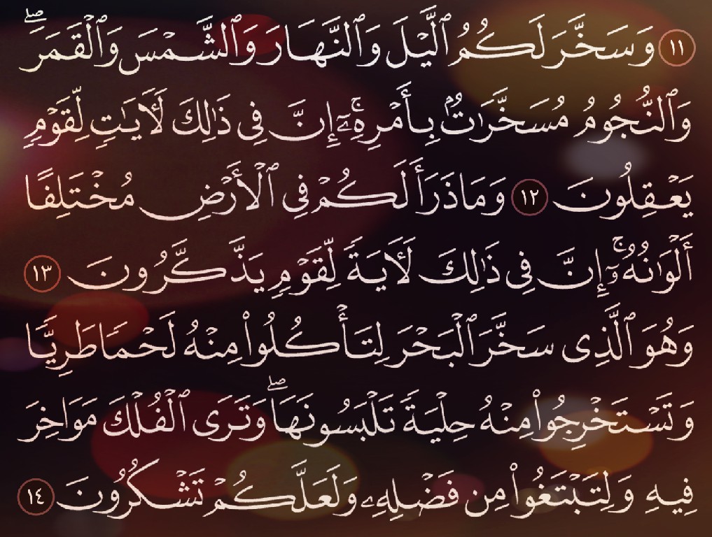 شرح وتفسير, سورة النحل, Surah Al-Isra, من الآية 1, إلى الاية 14,