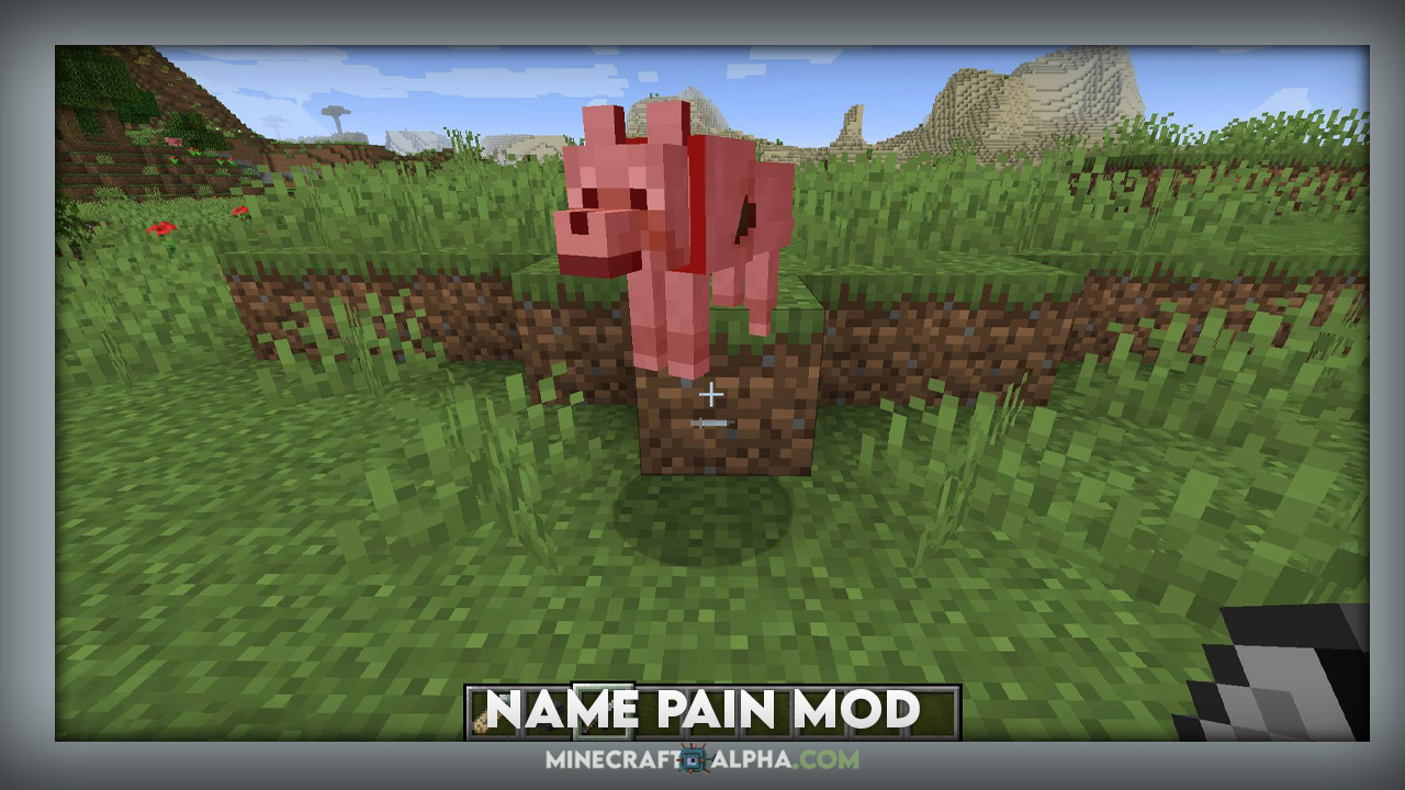Minecraft Name Pain Mod 1.18.1 (How Much Damaged a Mob is)