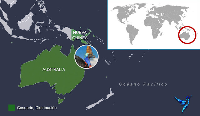 Mapa de Australia y Nueva Guinea en el Mapamundi