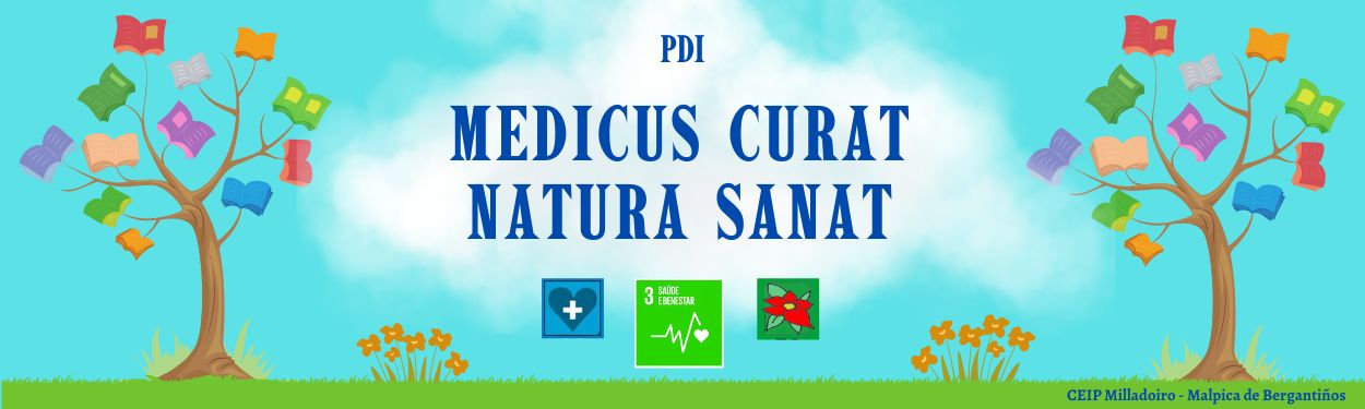 Medicus curat natura sanat