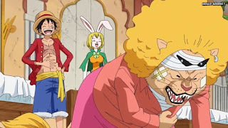 ワンピースアニメ ゾウ編 766話 ルフィ Monkey D. Luffy ペコムズ Pekoms | ONE PIECE Episode 766