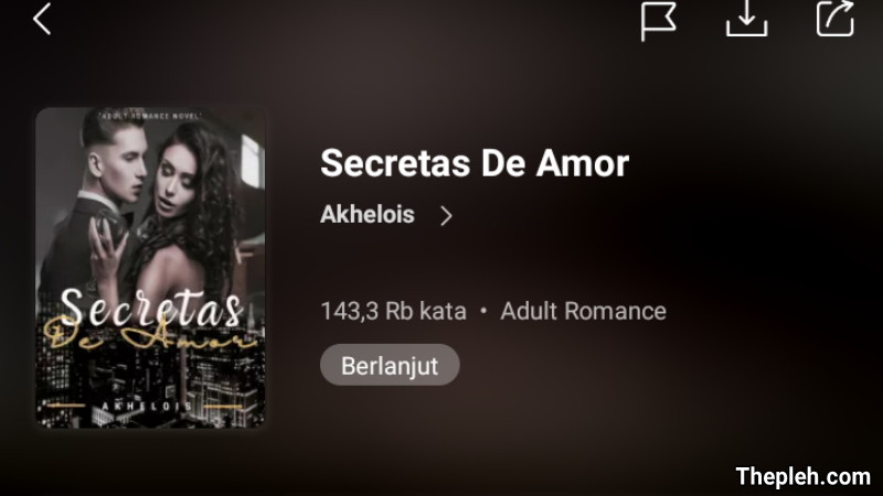 Novel Secretas De Amor