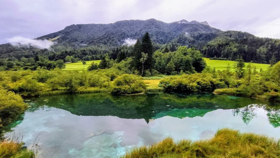 Zelenci Nature Reserve Slovenia