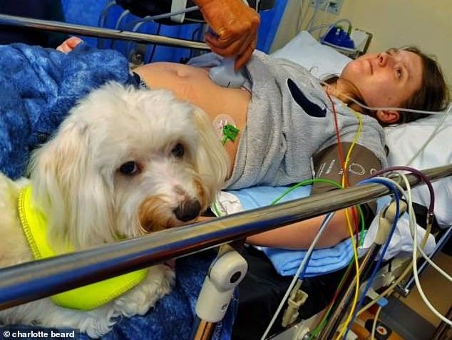 Woman Gives Birth In Hospital With A Bedside Dog
