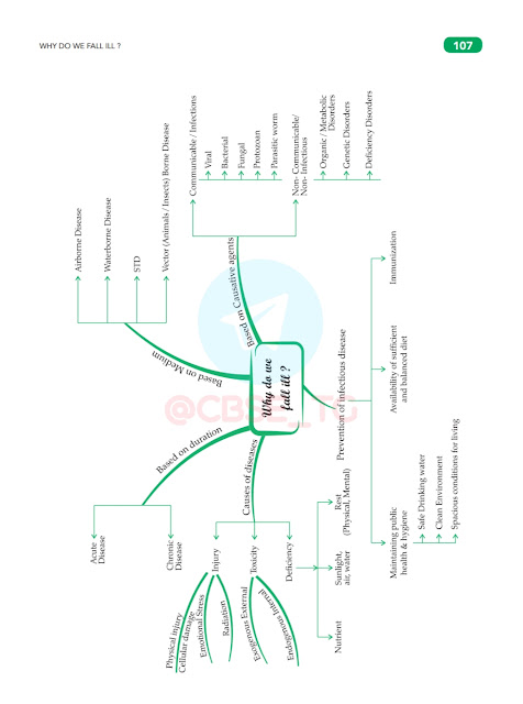 Class 9 why do we fall ill notes (mindmap)