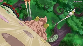 ワンピースアニメ WCI編 792話 誘惑の森 | ONE PIECE Episode 792