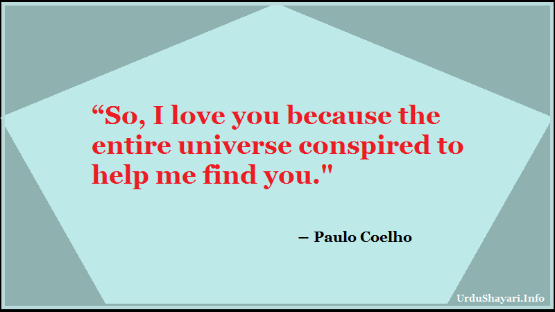 alchemist book quotes - I love you because the entire universe conspire it