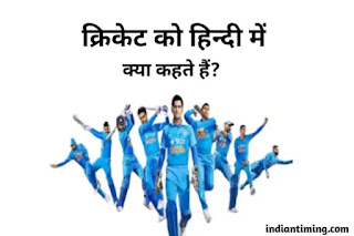 cricket ko hindi mein kya kahate hain
