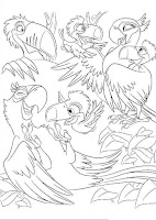 Parrots coloring pages for kids age 4-8