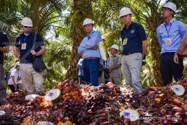 Bagaimana Undang-undang Anti-Deforestasi Uni Eropa Berdampak pada Ekspor Minyak Sawit Indonesia