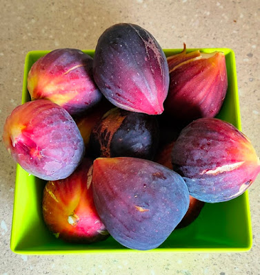 this season's figs