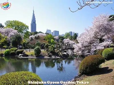 Top things to do in Tokyo