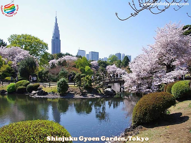 Top things to do in Tokyo