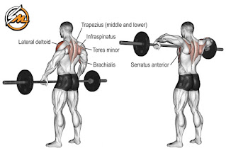 5 Most Common Shoulder Training Mistakes