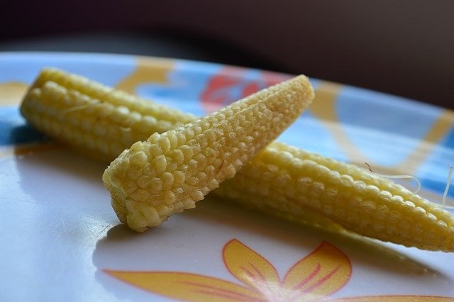 gambar jagung muda baby corn putren